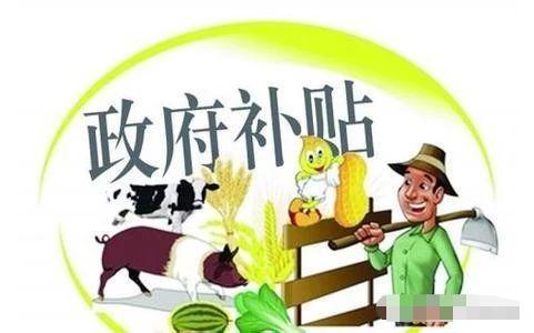 2019年深圳市积分入户政策：入户有哪些补贴?(图1)
